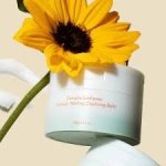 Haruharu Wonder odličovací a čistící pleťový balzám Centella Sunflower Makeup-Melting Cleansing Balm 100 g – Hledejceny.cz