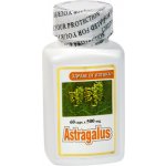 TNT 21 Astragalus Kozinec blanitý 500 mg 60 kapslí – Hledejceny.cz