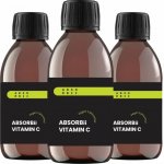 ABSORBii VITAMIN C lipozomální vitamin 200 ml – Hledejceny.cz
