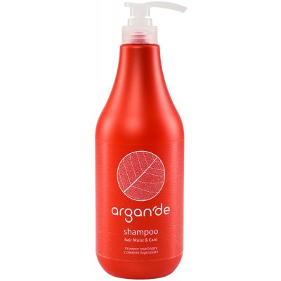 Stapiz Argan'de Moist & Care Shampoo hydratační šampon s arganovým olejem 1000 ml – Zbozi.Blesk.cz