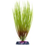 Penn Plax Hair Grass M 22 cm – Hledejceny.cz