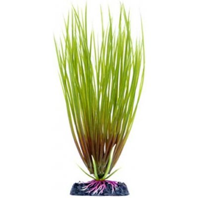 Penn Plax Hair Grass M 22 cm – Hledejceny.cz