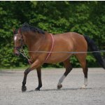 WALDHAUSEN Lonžovací lano – Hledejceny.cz