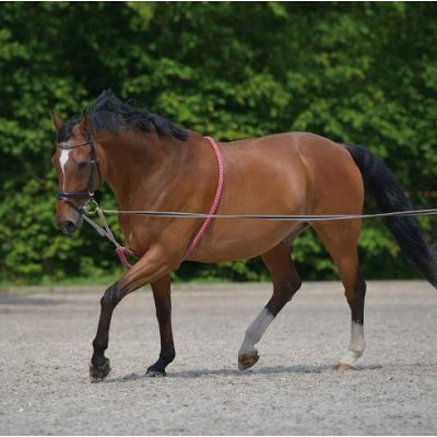 WALDHAUSEN Lonžovací lano – Hledejceny.cz