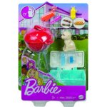 Mattel Barbie mini herní set s mazlíčkem grilování GRG76 – Zboží Mobilmania