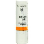Dr. Hauschka Pěstící tyčinka na rty (Lip Care Stick) 4,9 g – Zboží Dáma
