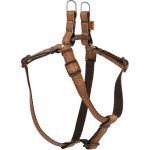 BF Popruhové kšíry EKG – Zboží Mobilmania