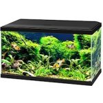 Ciano Aquarium 60 akvarijní set černý 58 l – Zboží Mobilmania