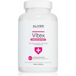 Vitex agnus castus Drmek obecný extrakt 2: 1 500 mg 90 kapslí – Hledejceny.cz