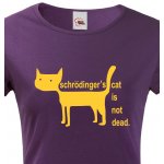 Bezvatriko.cz Dámské tričko Schrodinger´s cat is not dead Fialová – Zboží Dáma Bezvatriko.cz Dámské tričko Schrodinger´s cat is not dead Fialová – Zboží Dáma