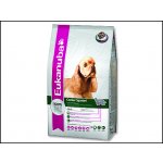 Eukanuba Cocker Spaniel 2,5 kg – Hledejceny.cz