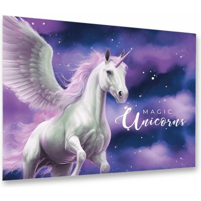 Karton P+P Pegas podložka 60 x 40 cm – Zboží Mobilmania