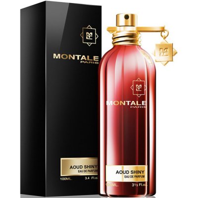 Montale Paris Montale Aoud Shiny parfémovaná voda unisex 100 ml – Zboží Mobilmania