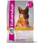 Eukanuba German Shepherd 2 x 12 kg – Hledejceny.cz