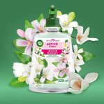 Air Wick Active Fresh náplň do difuzéru na vodní bázi jasmínové květy 228 ml – Hledejceny.cz