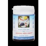 TCM Herbs Hostina pěti chutí 100 tablet – Hledejceny.cz
