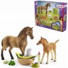 Schleich 42432 Set hříbě a Quarter kůň se štěňátkem a doplňky