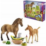 Schleich 42432 Set hříbě a Quarter kůň se štěňátkem a doplňky – Zbozi.Blesk.cz