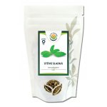 Salvia Paradise Stévie sladká list 50 g – Zboží Mobilmania