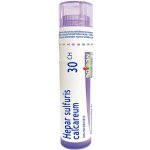 HEPAR SULFURIS CALCAREUM POR 30CH GRA 4G – Hledejceny.cz