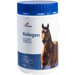 VitaEmote Kolagen 1 kg – Hledejceny.cz