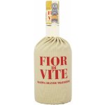 Ramazzotti Grappa Fior di Vite 40% 0,7 l (holá láhev) – Zboží Mobilmania