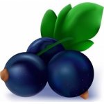 Joypaste Ochucovací pasta Černý rybíz dortis 200 g – Zbozi.Blesk.cz