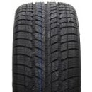 Minerva S310 195/65 R14 89T