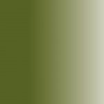 Daler Rowney Georgian olejová barva 38 ml sap green – Hledejceny.cz