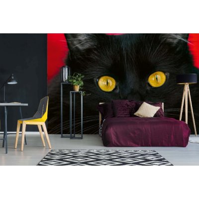 Dimex MA-5-0552 Samolepicí vliesová fototapeta na zeď Černá kočka rozměry 375 x 250 cm – Zboží Mobilmania