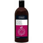 Ziaja Family Shampoo pro normální vlasy Fig 500 ml – Hledejceny.cz
