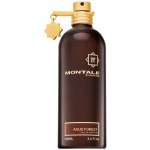 Montale Aoud Forest parfémovaná voda unisex 100 ml – Hledejceny.cz