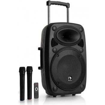 auna Pro Streetstar 12 Système sono portable subwoofer 12