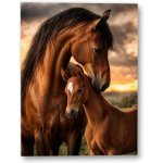Plakát – Dospělý kůň s hříbětem 60 × 80 cm Bez rámu Ano Bez rámu – Hledejceny.cz