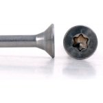 Vrut do dřeva nerez A2, zapuštěná hlava torx - 4,0x70/40 – Hledejceny.cz