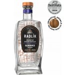 Radlík Slivovice Karlátka 45% 0,5 l (holá láhev) – Sleviste.cz