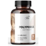 POLYPORUS EXTRAKT 90 KAPSLÍ 500 mg – Hledejceny.cz