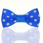 Mašlička puntík modrobílá – Sleviste.cz