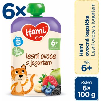HAMI Lesní ovoce s jogurtem 6 x 100 g