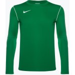 Pánské fotbalové tričko longsleeve Nike Dri-FIT Park 20 Crew pine green/white