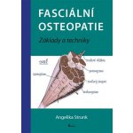 Fasciální osteopatie. Základy a techniky - Angelika Stunk – Hledejceny.cz