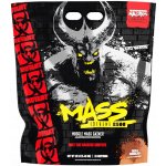 PVL Mutant Mass XXXTREME 2500 5450 g – Zboží Dáma