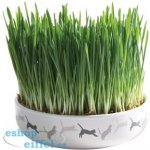 Trixie keramická miska na trávu pro kočky 15 x 4 cm – Zboží Dáma