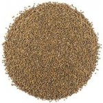 ZdravýDen Bio rukola semena na klíčení 200 g – Zbozi.Blesk.cz