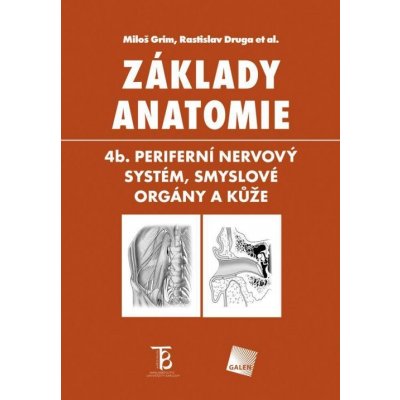 Základy anatomie 4b: Periferní nervový systém, smyslové orgá... – Zboží Mobilmania