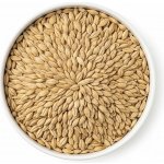 Les fruits du Paradis Oves bezpluchý 0,5 kg – Zboží Dáma