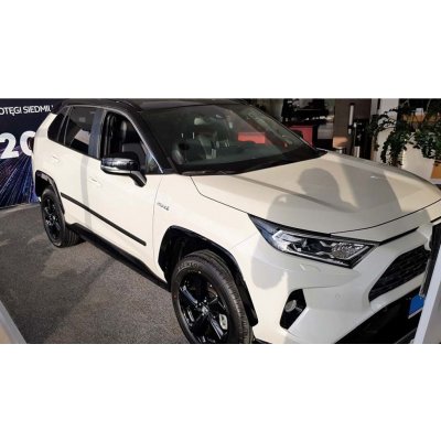 Toyota RAV4 V 19 Boční lišty dveří – Zboží Mobilmania