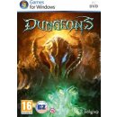 Hra na PC Dungeons (Special Edition)