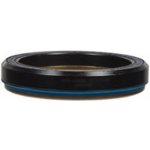 Cane Creek Forty IS52/40 Bottom – Zboží Dáma