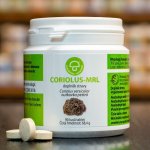 Coriolus MRL mycelium i primordium 90 tablet – Hledejceny.cz